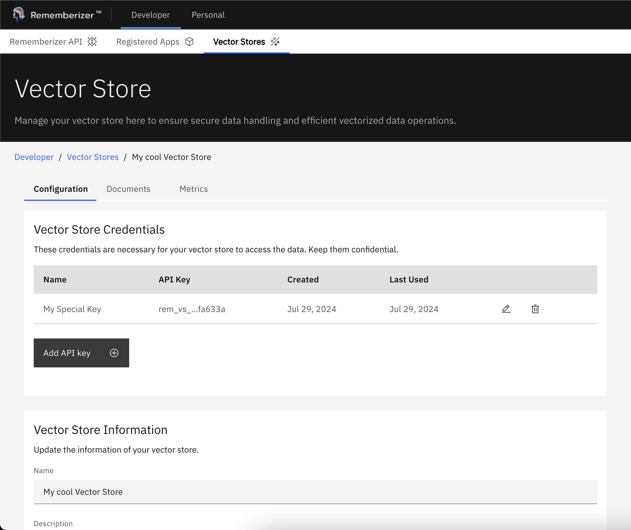 View Details of a Vector Store